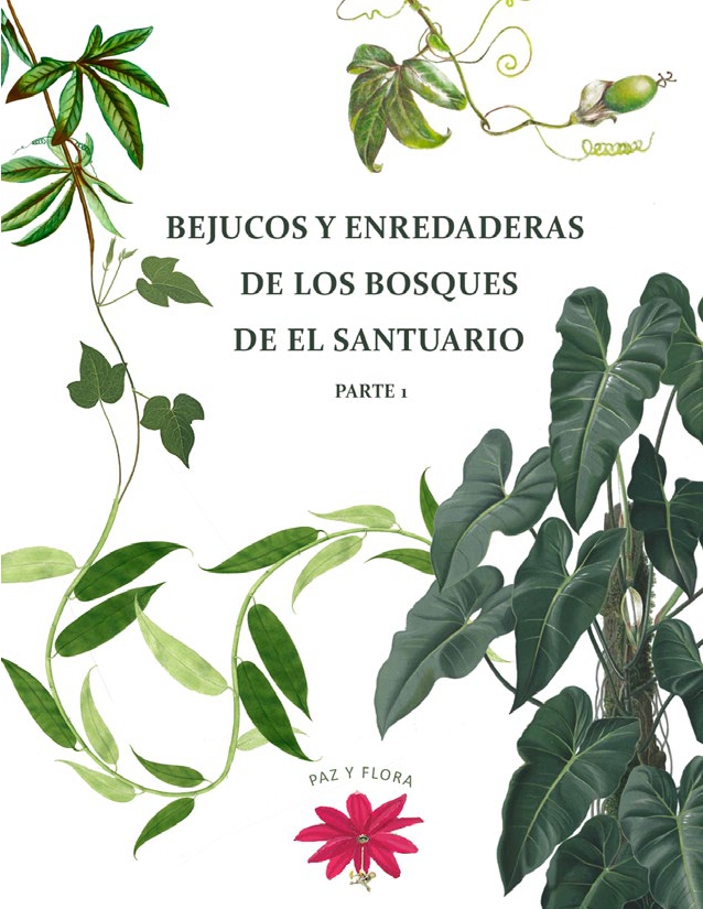 Bejucos y Enredaderas de los Bosques de El Santuario Parte 1 - Colectivo Paz y Flora (2020)